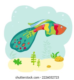Cute aquarium fish and algae.