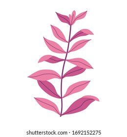 Cute aquarium plants - alternanthera. Flat style Illustrations of seaweeds for children.