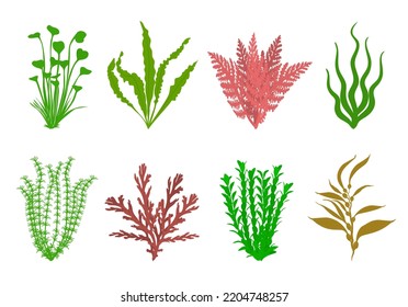 Cute aquarium plants set. Vector flat illustration