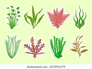 Abundantes plantas de acuario. Ilustración vectorial.