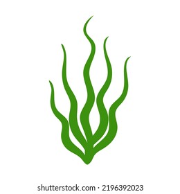 Cute aquarium plants. Vector illustration in cartoon style
