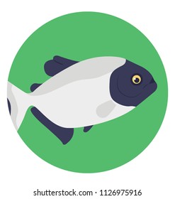 A cute aquatic cartoon fish flat design icon