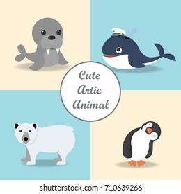 cute Arctic animal