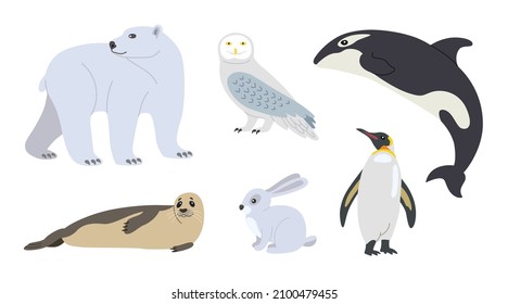 Cute arctic animal cartoon character vector illustrations set. Polar bear, penguin, seal, hare, owl, killer whale, fauna of North Pole isolated on white background. Winter, wildlife, nature concept