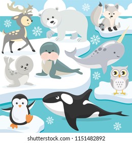 Cute Arctic Animals