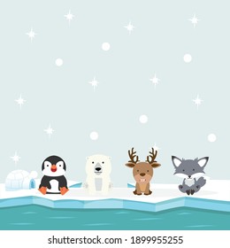 cute arctic animals north pole in ocean