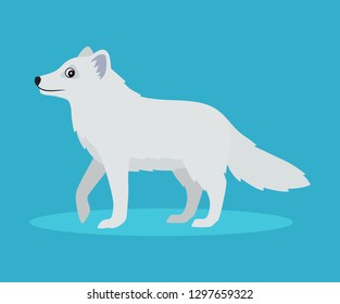 Cute arctic fox or polar fox icon, isolated on blue background, wild snow furry beast, vector illustration in flat style