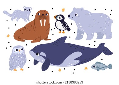 Cute arctic and polar animals. Antarctica inhabitants. Northern mammals, birds and fish. Killer whale. Isolated puffin or fox. Adorable walrus. White bear and owl. Vector