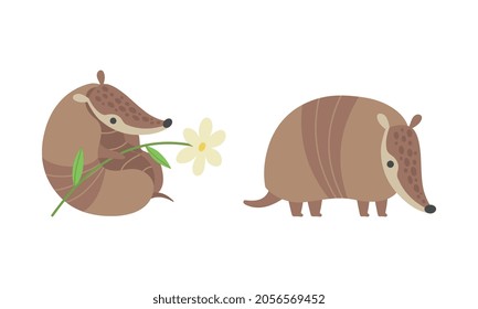 Cute Armadillo Character with Armor Shell Holding Flower and Standing Vector Set