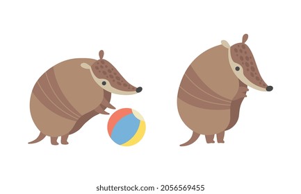 Cute Armadillo Character with Armor Shell Playing with Ball and Standing Vector Set