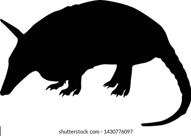 Cute Armadillo Silhouette Vector Style