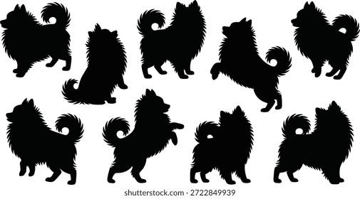 Una linda variedad de ocho siluetas negras de Pomerania o Spitz, que muestran varias posturas, incluyendo pararse, sentarse y saltos activos en una superficie blanca limpia.