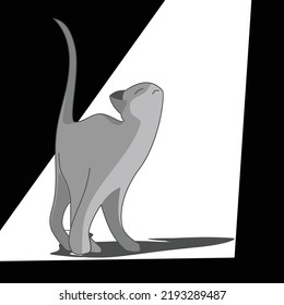 Cute Arrogant Cat Vector Illustration