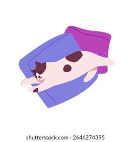Cute asleep cat stretching, spreads on bed. Tired kitten lying, napping on pillows. Adorable kitty sleeps, relaxes, has a rest on cushions. Flat isolated vector illustration on white background