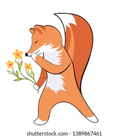 Cute attitude of a Fox. Foxes first date. Bouquet of flowers