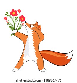 Cute attitude of a Fox. Foxes first date. Bouquet of flowers