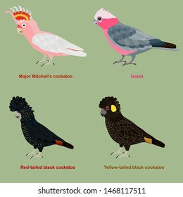 Cute Australia Cockatoo, Papageivogel-Vektorgrafik-Set, Galah, Major Mitchell, rosafarbener Cockatoo, roter Schwanz, schwarz, gelb, schwanzschwarzer Cockatoo, Farbige Vogelcartoon-Kollektion