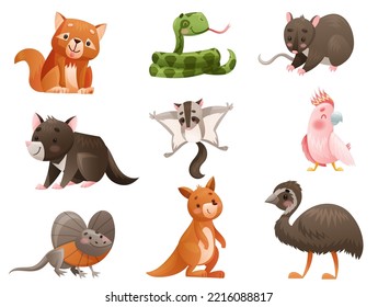 Cute Australian Animals and Endemic Fauna with Tasmanian Devil and Dingo Vector Set