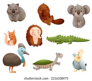 Cute australische Tiere und endemische Fauna mit Echidna und Koala Vector Set