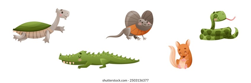 Cute Australian Animals and Endemic Fauna Vector Set