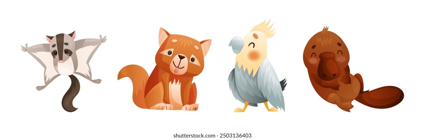 Cute Australian Animals and Endemic Fauna Vector Set