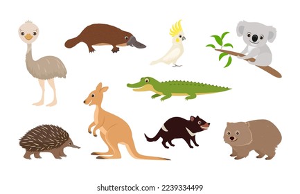 Un conjunto de animales australianos. Caricatura divertida Wallaby, demonio de Tasmania, koala, cocodrilo, loro de cacatú, emu de avestruz, platypus, echidna, wombat. Ilustración vectorial.