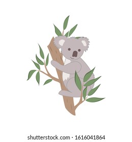 Cute Australian cartoon Koala Bear on a tree. Vector illustration. For design greeting cards, prints, posters.