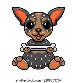 Cute australian cattle dog cartoon holding a bone