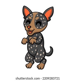 Cute australian cattle dog cartoon