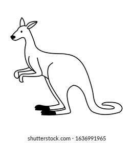 Cute Australian kangaroo on white background. vector illustration design.