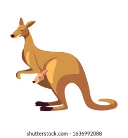 Cute Australian kangaroo on white background. vector illustration design.