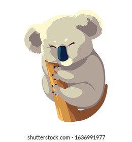 Cute Australian Koala on a tree on white background. vector illustration design.