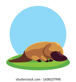 Cute Australian platypus with background landscape. vector illustration design.