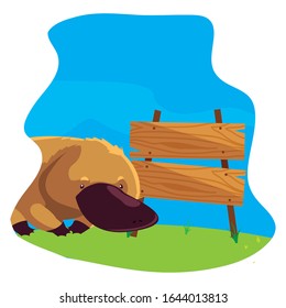 cute australian platypus with background landscape vector illustration design