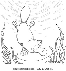 Cute australian platypus diving and swimming. Coloring page for kids. Learning animals with fun and joy. Vector black and white line illustration.