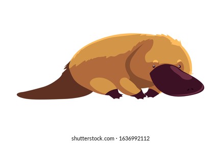 Cute Australian platypus on white background. vector illustration design.