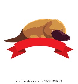 cute australian platypus on white background vector illustration design