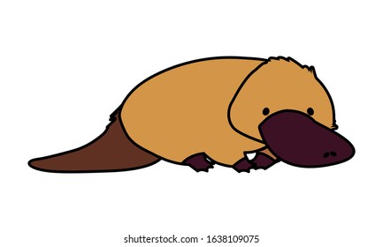 cute australian platypus on white background vector illustration design