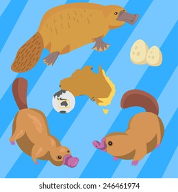 Cute Australian platypus. Set of 3 animals