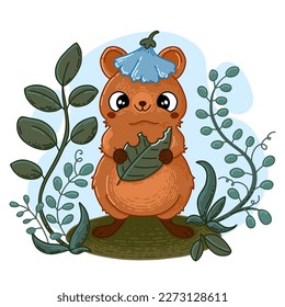 Cute australische Quokka fressen Blatt in Blumenhut. Zeichentrickdesign. Vektorgrafik auf weißem Hintergrund.