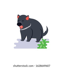 Cute australian tasmanial devil design, Animal wildlife life nature native character adorable and creature theme Vector illustration