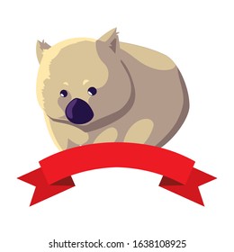 cute australian wombat with ribbon on white background vector illustration design