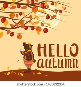 Cute autumn bear covered in fallen autumn leaves with a cup of coffee, Hello Autumn lettering, fall under apple tree. Vector, illustration isolated flat cartoon style