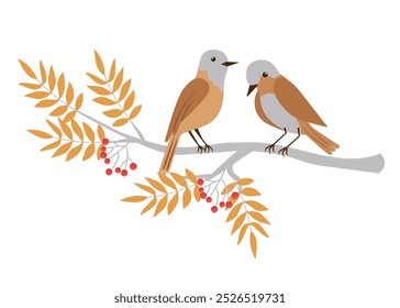 Cute autumn characters. Forest birds on a rowan branch. Vector illustration on a white background.