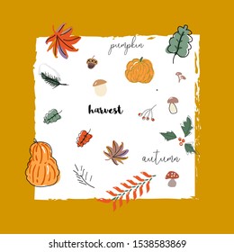 Cute autumn collection set, fall harvest season cartoon illustration clipart with different decoration elements. 