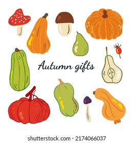 Cute autumn doodle set autumn gifts with pumpkins, mushrooms, pear and rosehip.vector illustration for greeting cards, posters and seasonal design.
