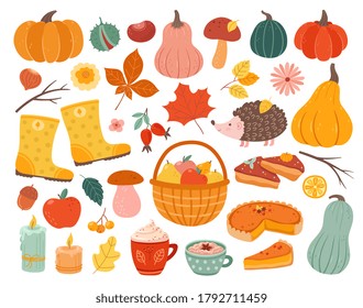 Cute autumn elements. Fall pumpkin, hedgehog november forest leaves. Thanksgiving and harvest season, cozy decoration vector illustration