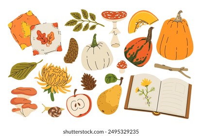 Cute autumn elements, pumpkin, warm clothes, blanket and scarf. Hand drawn fall season design element, acorns with leaves, mushrooms and berries, cozy doodle sticker vector set