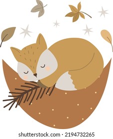 Cute autumn fox sleeps on the moon