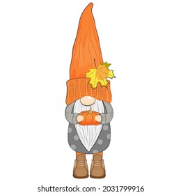 Cute autumn gnome with pumpkin. Vector illustration.